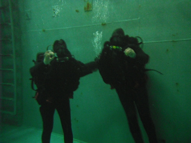 Ship's Team Diver